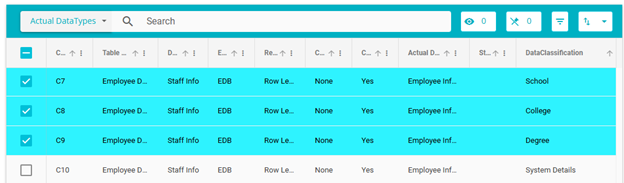 Screenshot showing selected datatypes